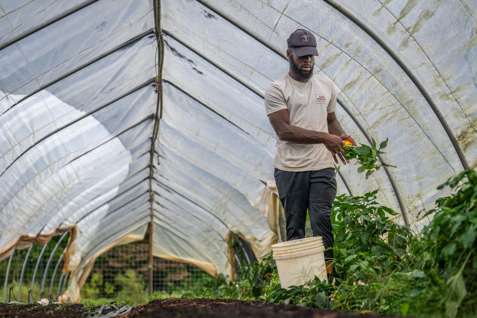 organic farming supplies