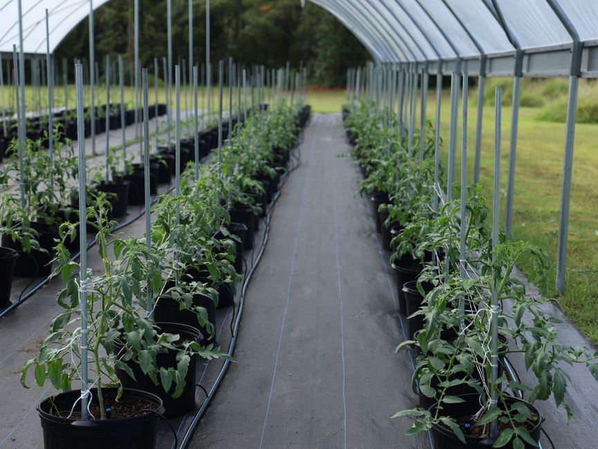 greenhouse equipment