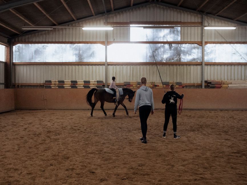 horse riding lessons